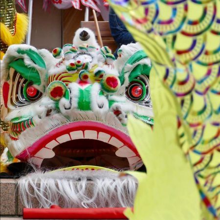 Book Dragon & Lion Dance in Canberra | Scarlett Entertainment