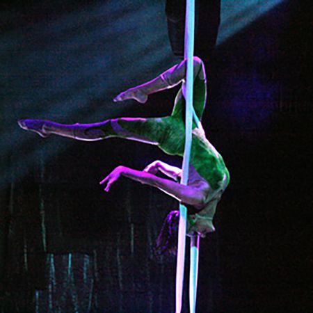 <span>Artista di Circo Aereo USA</span>