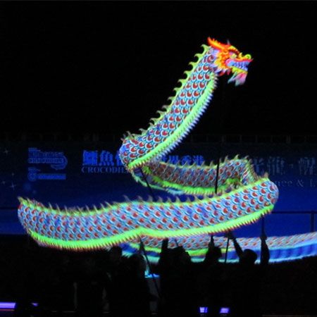 Hire Chinese Dance Troupe | International Dragon Dance | Luminous