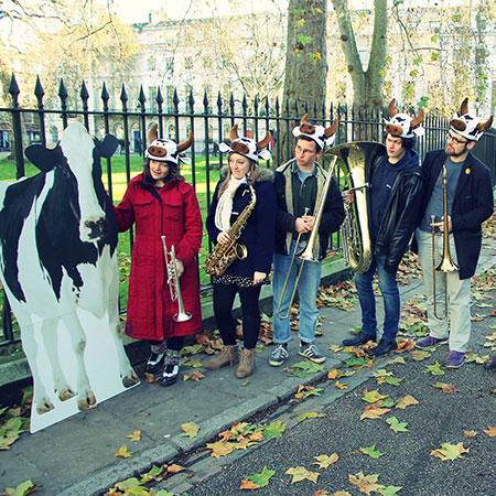 Cow Themed Brass Band