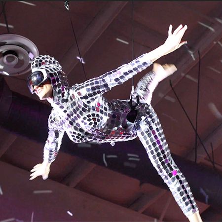 Aerial Living Mirror Ball