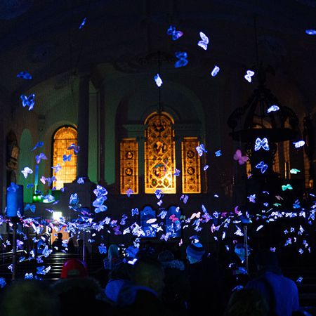 Esperienza della farfalla sospesa