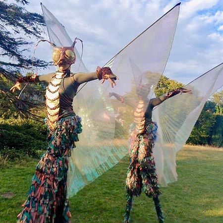 Dragonfly Stilt Walkers