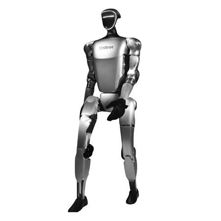 Roaming Humanoid Robot UAE