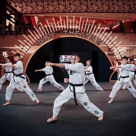 Equipo de Artes Marciales