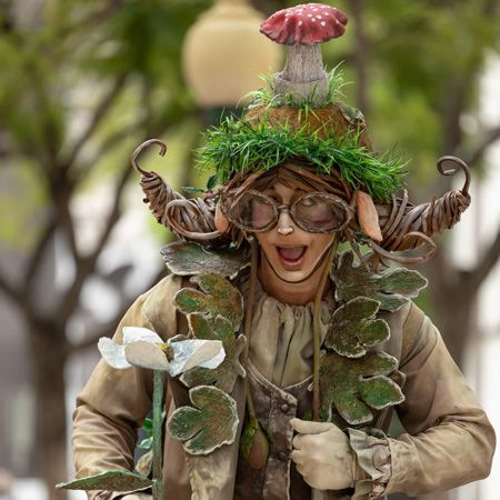 Enchanted Forest Elves Act
