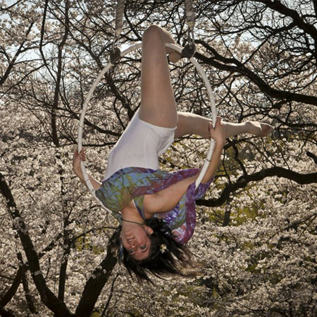 Aerial Show Toronto