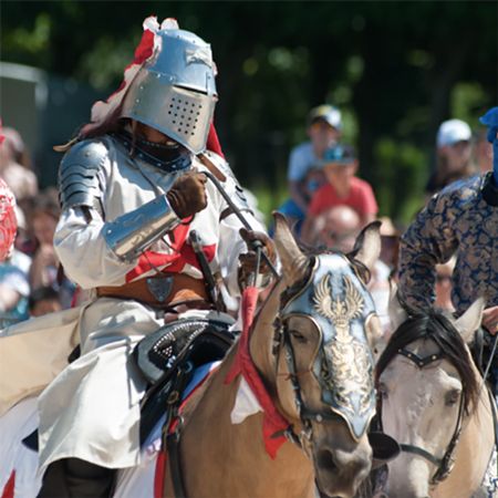 Medieval & Equestrian Shows