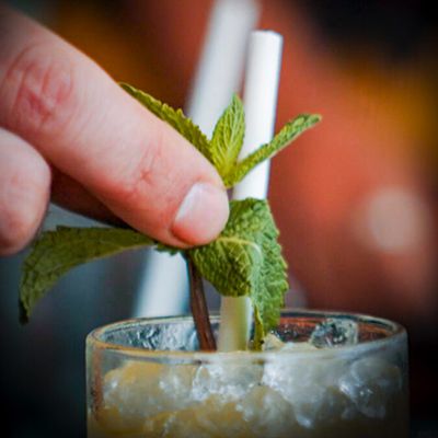 Luxe Cocktail Mixologie