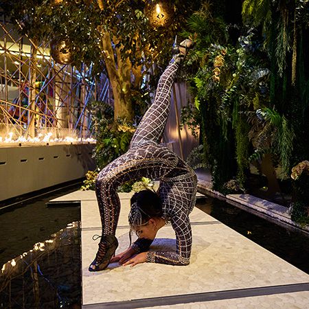 Contortion Las Vegas