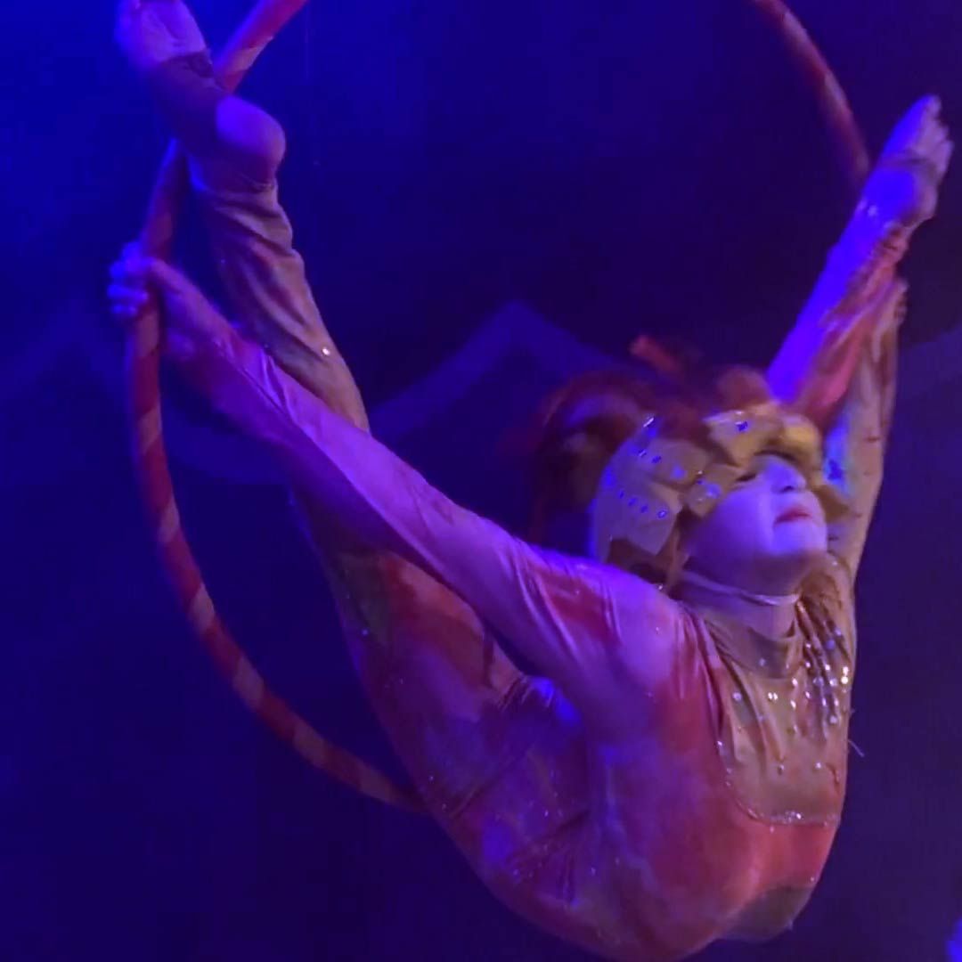 Book Le Petit Cirque  Scarlett Entertainment