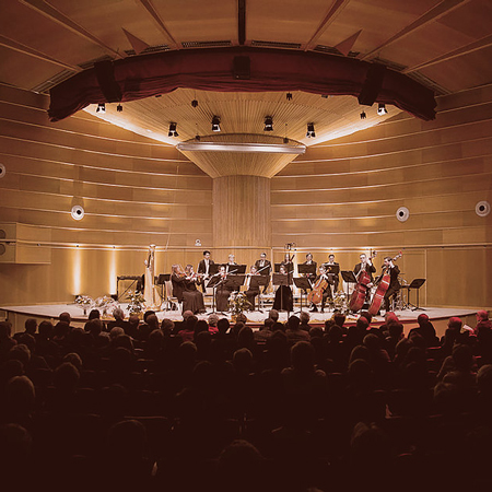 Orchestra Vienna