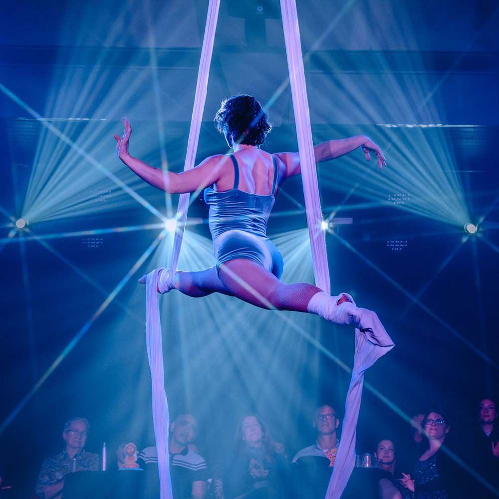 Book a Silks Aerialist Vancouver | Scarlett Entertainment