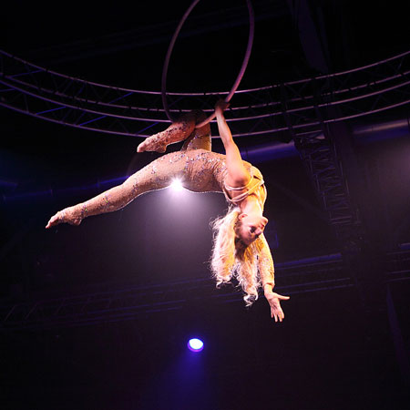 Aerial Hoop Künstler UK