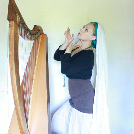 Celtic Harpist