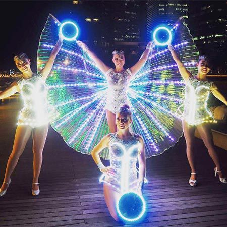 LED Fairy Wings Singapore