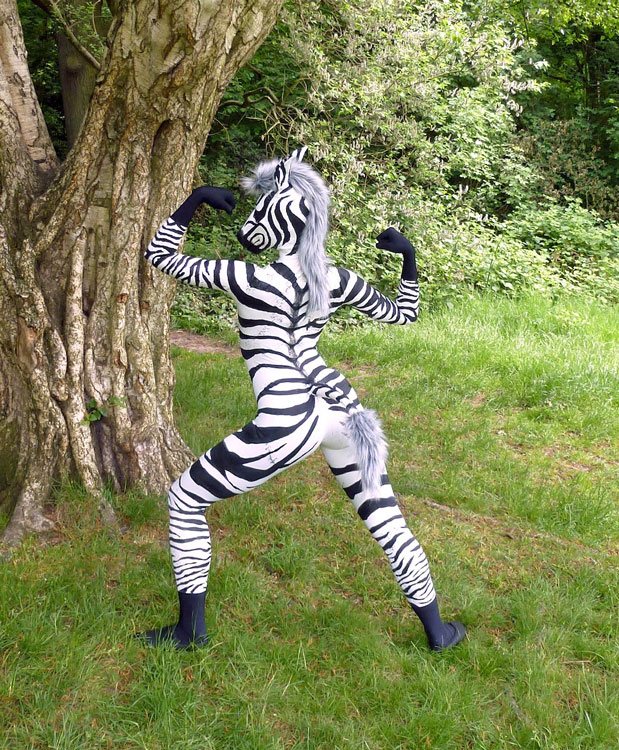 Book Walkabout Zebra | Roaming Animals | Scarlett Entertainment UK