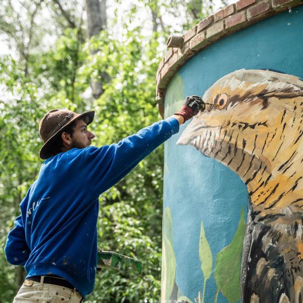 Hire Nature Murals in Barcelona | Scarlett Entertainment