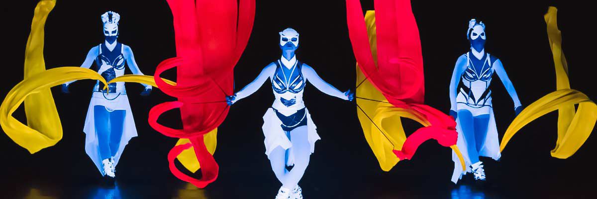 Scarlett Exclusive Division