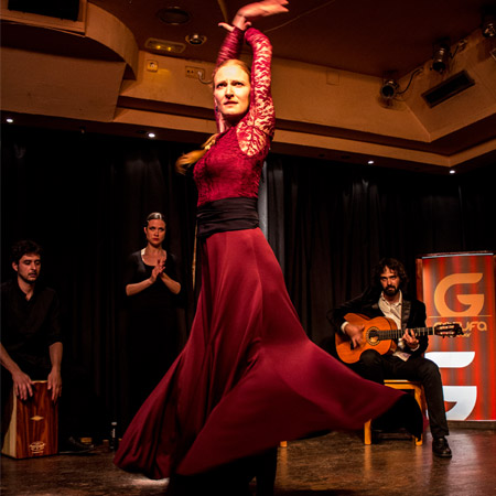 Spectacle de danse flamenco aux États-Unis