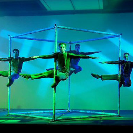 Acrobates Cubiques