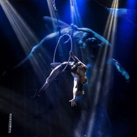 Aerial Hoop And Ball Act