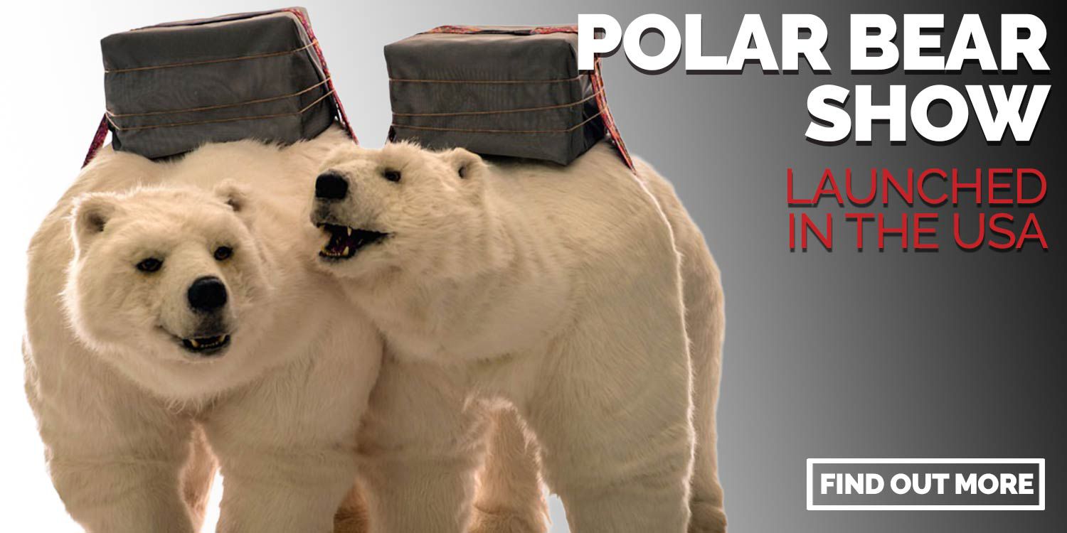 Polar Bear Show Launches in the USA