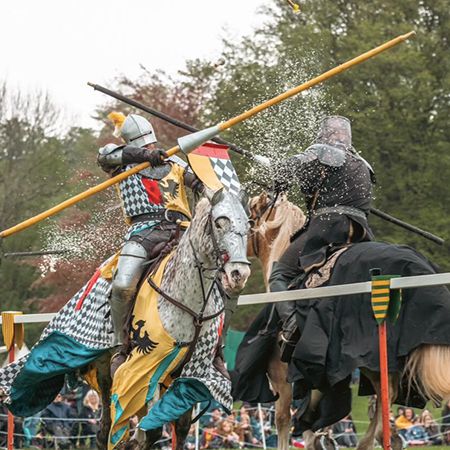 Medieval Knights Stunt Show