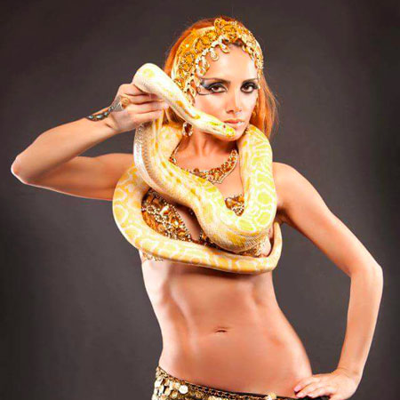 New York Belly Dancers
