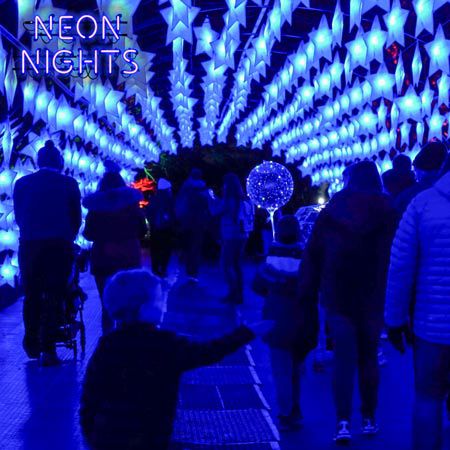 Espectáculo de luces Neon Nights en los Emiratos Árabes Unidos