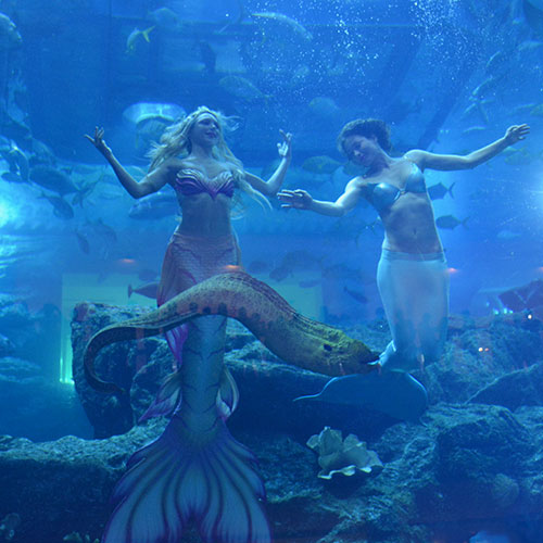 Dubai Mermaids