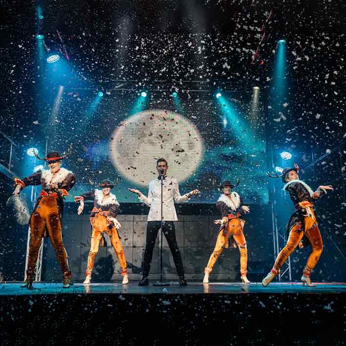 Christmas Spectacular Show