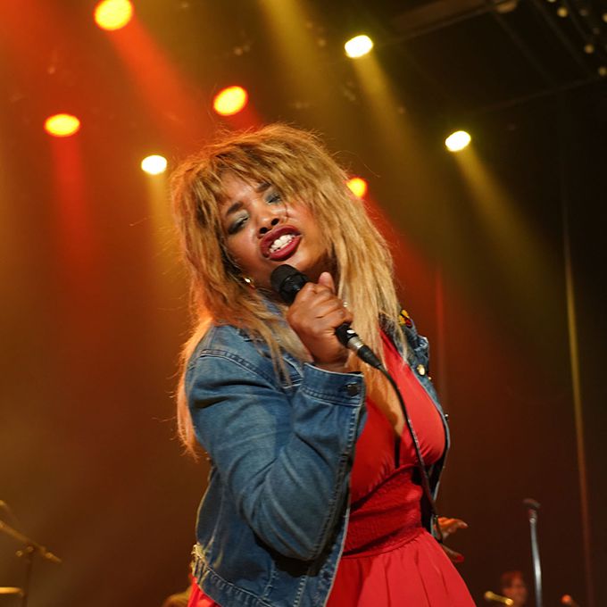 Tina Turner Tribute Show Canada