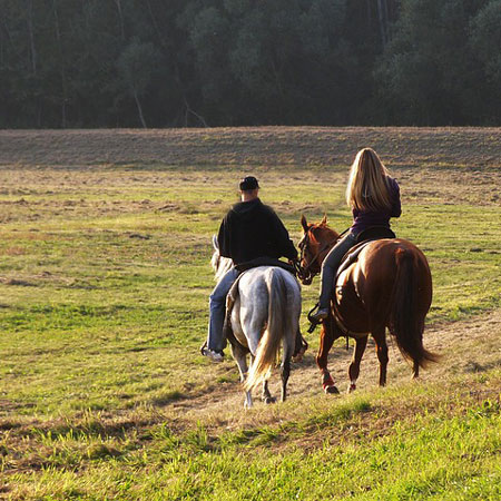 Balades à cheval à Rome