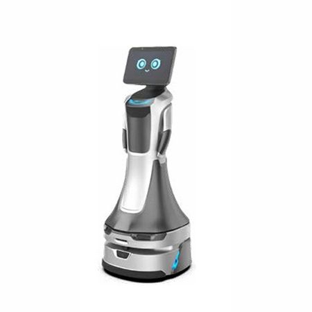 Intelligent Service Robot