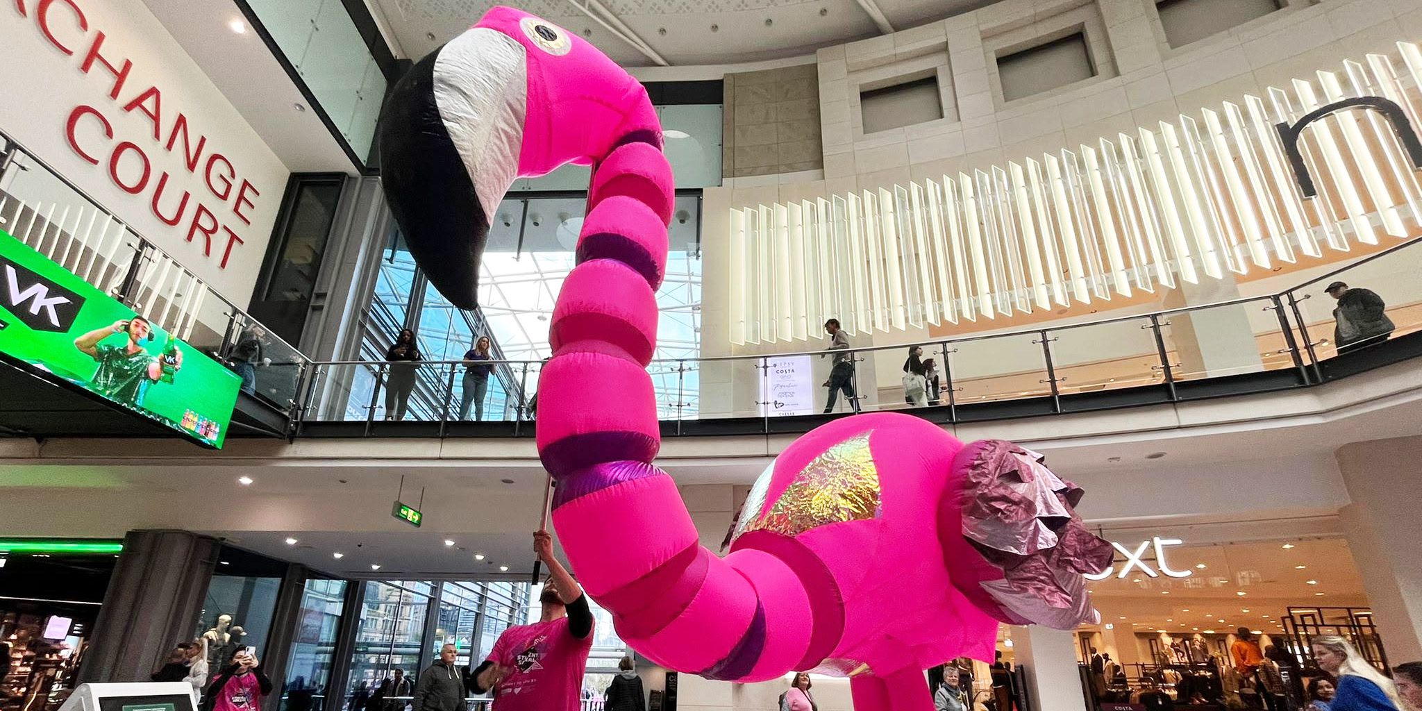 Giant Roaming Flamingo Captivates Students at Manchester Shopping Event