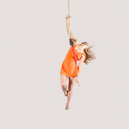 Aerial Trapeze Artist