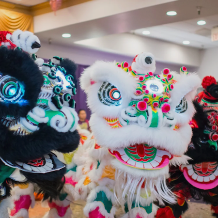 Lion Dance Performances USA