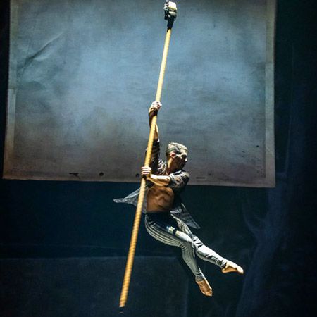 Aerial Pole Performer