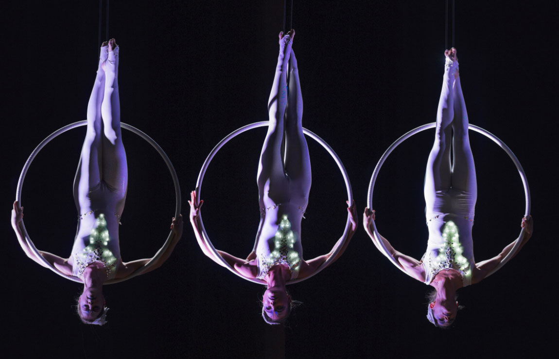 Aerial Hoop Passport la guida al cerchio aereo - VertigeDonne e Sport