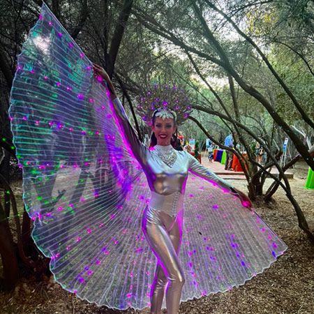 Roaming LED Fairies