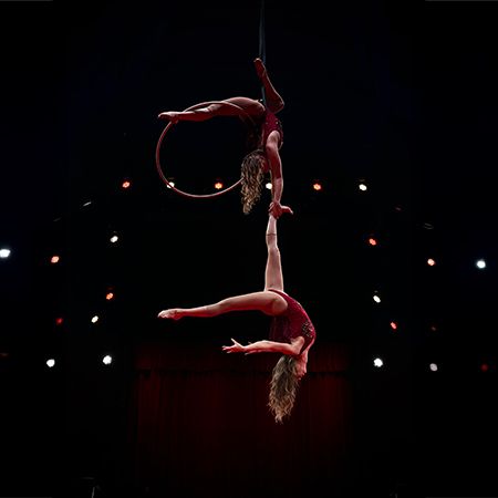 Duo Aerial Hoop