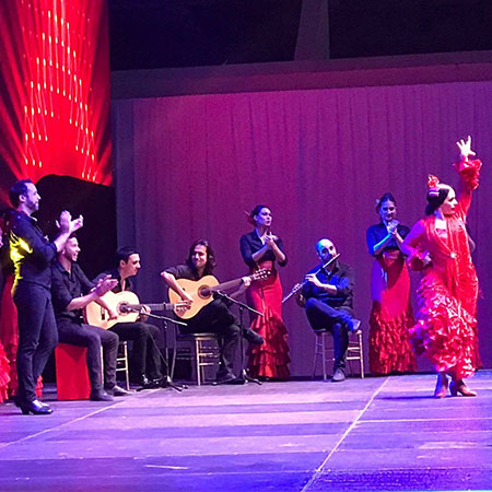 Spectacle de flamenco en Espagne