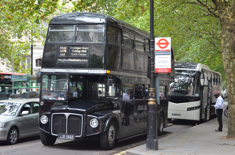 Mysterious Bus Tour