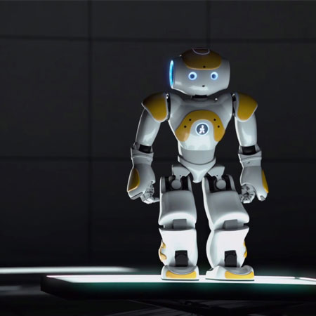 NAO Der Roboter