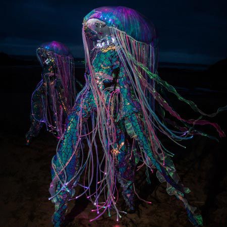 Luminous Jellyfish Roaming Act