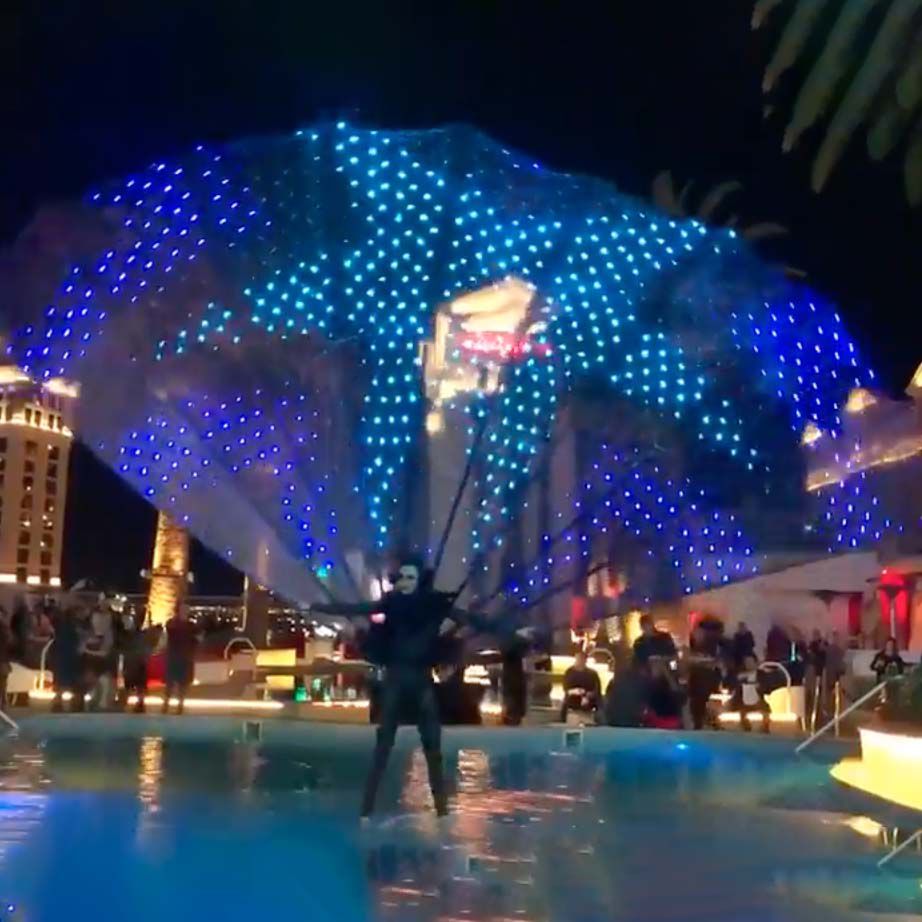 <span>LED Pavone Las Vegas</span>