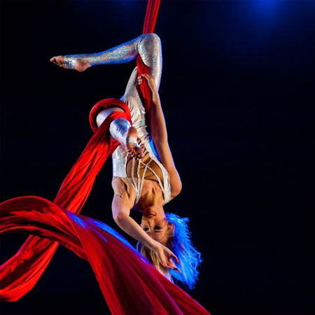 Aerial Silk Performers Holland