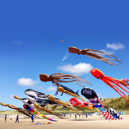 Sea Themed Kites