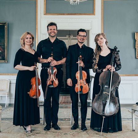 Ensemble à cordes Danemark